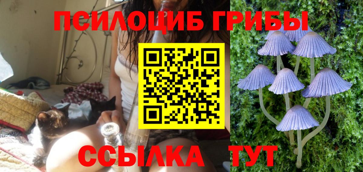 Сердобск  Галлюциногенные грибы Psilocybine cubensis  Вход с VPN  Псилоцибиновые грибы мицелий 